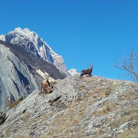Location Vacances Saint Michel De Maurienne "Le Dahu" Leilighet Eksteriør bilde