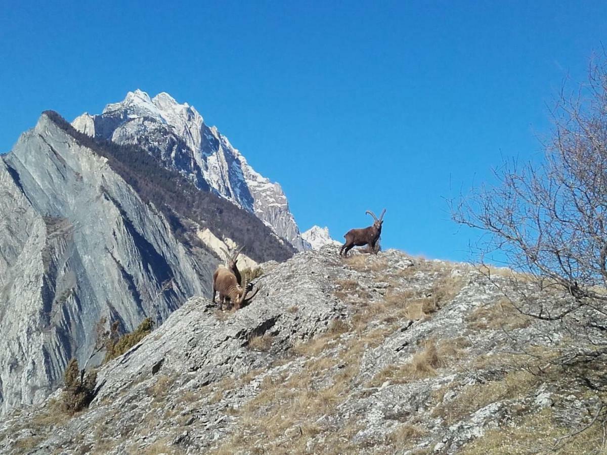 Location Vacances Saint Michel De Maurienne "Le Dahu" Leilighet Eksteriør bilde
